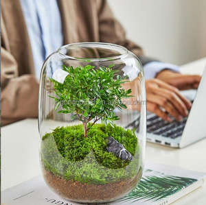 <span class=keywords><strong>Terrarium</strong></span> en verre 2023 plantes botaniques vase globe <span class=keywords><strong>terrarium</strong></span> kit produits de jardin - Product Image 5