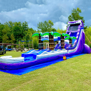 Tobogán acuático inflable gigante, casa de juegos inflable para fiestas, tobogán acuático tropical inflable con piscina para adultos - Product Image 4