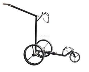 Moteur allemand 180W pour <span class=keywords><strong>chariot</strong></span> de <span class=keywords><strong>golf</strong></span> en carbone <span class=keywords><strong>chariot</strong></span> de <span class=keywords><strong>golf</strong></span> lectrique - Product Image 2