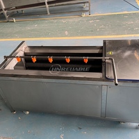 Uitstekende Kwaliteit Roestvrij Staal Frietjes Aardappel Schoonmaken Wassen Peeling Snijmachine Hoge Efficiëntie Voor Groente