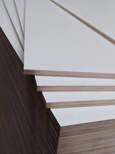 Ventes chaudes : Panneau MDF <span class=keywords><strong>mélaminé</strong></span> moderne certifié E1, grand format 6x8'x16mm, finition mate <span class=keywords><strong>blanc</strong></span>/noir - Product Image 5