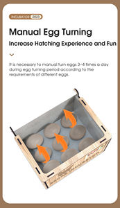 WONEGG Matériau <span class=keywords><strong>en</strong></span> bois Commercial 9 Egg Température constante Entièrement automatique Petit incubateur à vendre - Product Image 5