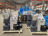 Presse à granulés de bois de petite capacité 400- 600 kg/h/presse à granulés de bois
