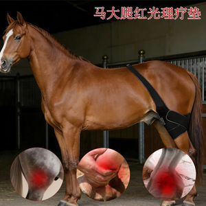Lampe infrarouge pour cuisses de cheval 810nm, dispositif de thérapie de relaxation musculaire portable pour la récupération des jambes et des bras - Product Image 3