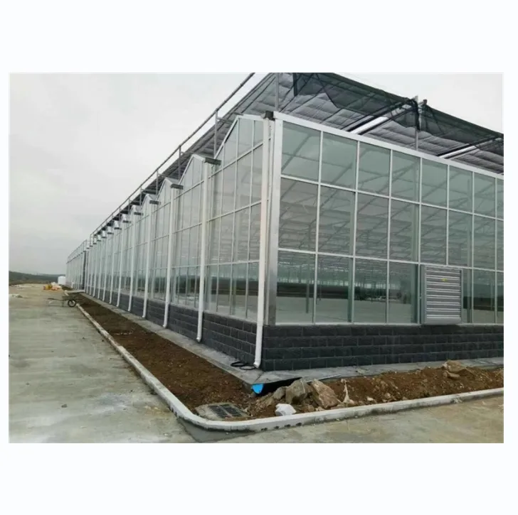 Komplette Gewächshausausstattung Glas landwirtschaftliches Gewächshaus schlüsselfertiges Projekt mit schnellem Bau