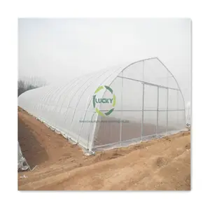 Corrugated Plastic Panels Low Tropical Climate Agricultural Tunneling Greenhouses With Cheap Price UV Clear Plastic Film