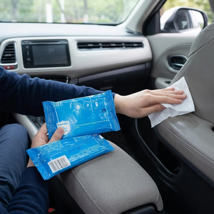 <span class=keywords><strong>Lingette</strong></span> désinfectante pour les mains 75% alcoolisée haute performance écologique 10 pièces paquet de lingettes désinfectantes antibactériennes - Product Image 1