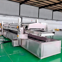 Friteuse industrielle commerciale entièrement automatique pour légumes, fruits, bonbons, frites surgelées, chips de pommes de terre, ligne de production 800 kg/h, qualité alimentaire 304