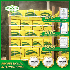 SINOFARM FOOD 2018 new crop <strong>fresh</strong> old <strong>ginger</strong> whole prices exporting to overseas brc  global - Product Image 6