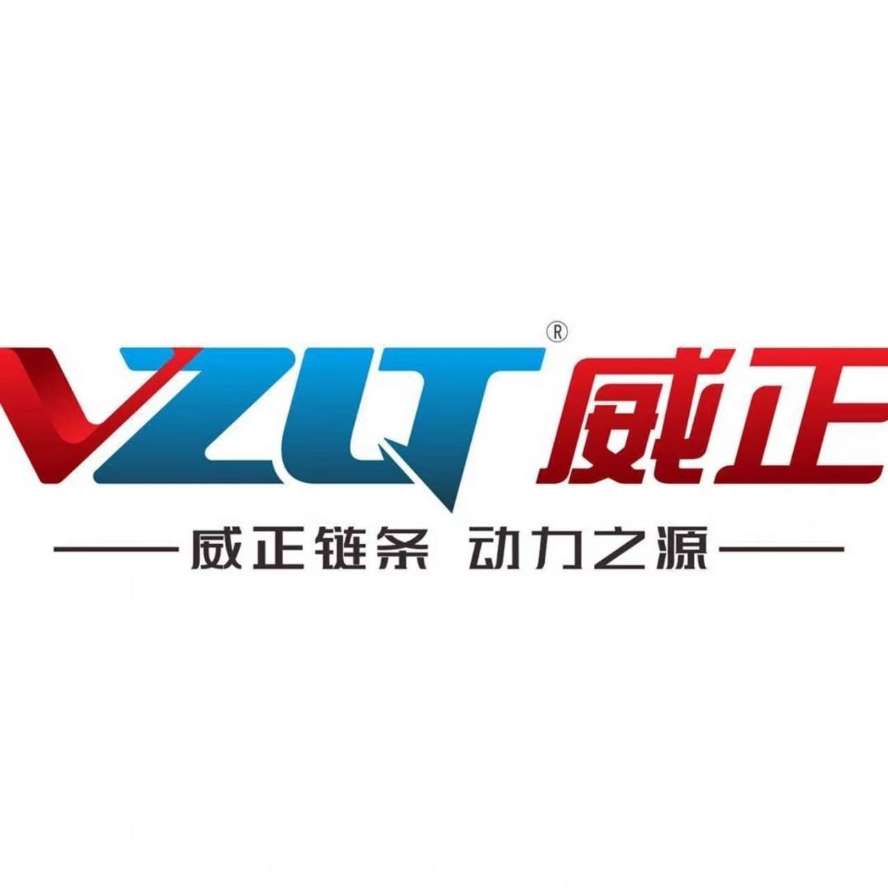 Shandong Weizheng Chain Co., Ltd. logo