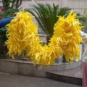 Venta barata blanqueada teñida colorida cola <span class=keywords><strong>de</strong></span> gallo pluma Boa <span class=keywords><strong>para</strong></span> fiesta danza actuaciones Decoración - Product Image 1