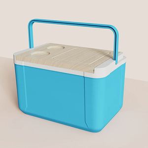 Nevera Portátil Moderna de 14L con Tapa de PP de Alta Calidad, Precio Directo de Fábrica, para Pescado, Hielo, Alimentos, Vino y Agua - Product Image 4