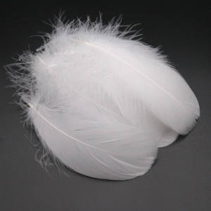 50 Pièces/Sac Plumes d'<span class=keywords><strong>oie</strong></span> colorées teintées pour remplissage <span class=keywords><strong>de</strong></span> boîtes cadeaux, accessoires <span class=keywords><strong>de</strong></span> photographie 9-15 cm - Product Image 6