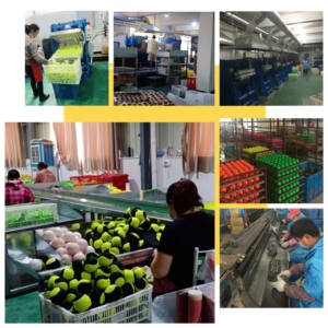 63mm PU bọt thể thao đồ chơi bóng trẻ em bán buôn bouncig siêu cao trả lại bóng - Product Image 6