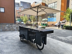 Carrito de Comida Triciclo de Diseño Moderno para Emprendedores - Product Image 2