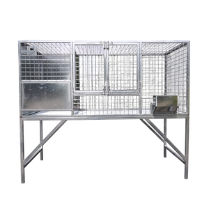 Fabrika ucuz özel Modern dikdörtgen ahşap Pet House katı desen dayanıklı açık köpek kedi kafesi rüzgar geçirmez plastik tepsi palet - Product Image 1