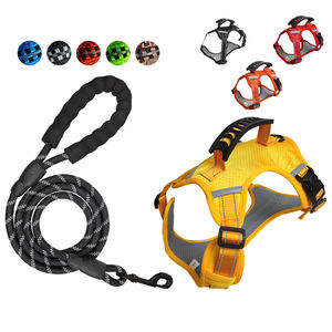 Conjunto de correa para perro pequeño Patrón sólido de moda Características personalizadas Neopreno Material de poliéster Botón Conjunto de Correa y Collar para perro - Product Image 1