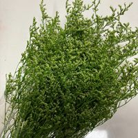 Bouquet de fleurs éternelles pour décoration intérieure, arrangements floraux et projets de bricolage, avec de véritables fleurs séchées