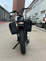 Vélo de Montagne Électrique Neuf de Haute Qualité, Prix Usine, Moteur Central 48V 500W-750W, Pneus Larges 20'', Porte-Bagages Arrière, Livraison Rapide