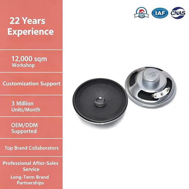 High Quality 2.5 Inch Round 13mm 3Ohm 3W Full Paper Cone Iron Neodymium Dual Internal Magnet Speaker Driver for Loudspeaker