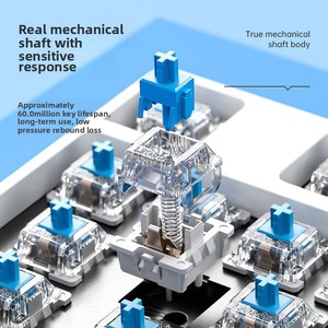 Bán Buôn F2088Pro Cơ Khí RGB Bàn Phím Có Dây Wolf Spider Chơi Game Màu Xanh Red & Brown Thiết Bị Chuyển Mạch Anh Ngôn Ngữ - Product Image 3