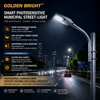 Lampadaire extérieur étanche et anticorrosion Goldenbright GB-71 AC pour projets d'ingénierie municipale