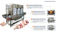 Machine à brûler au gaz continu pour les pattes de porc, les têtes de mouton, les pattes de poulet, la peau de la volaille, machine à échauffer en acier inoxydable
