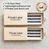 Extensions de cils naturels pré-collées en gros, bouquets de cils à presser auto-adhésifs, cils en grappe de haute qualité, boîte de luxe