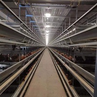 Nouveau Système d'élevage de poulets de chair de type H en promotion, Cage d'alimentation automatique en acier galvanisé, Équipement avicole durable et durable