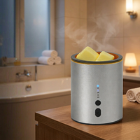 Lampe chauffe-cire électrique argentée simple à prix de gros, intensité réglable, longue durée, sans flamme, avec minuterie