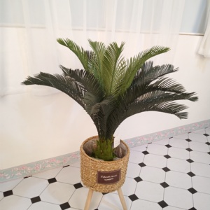 Alta calidad artificial bonsái de plástico plantas de sagú <span class=keywords><strong>cycas</strong></span> - Product Image 3