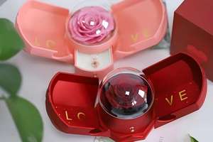 Preserved Real Rose Wing Box <strong>Necklace</strong> &amp; Gift Set with Long-Lasting 3-5 Years Handmade Elegant Packaging for Valentine's Day - Product Image 5