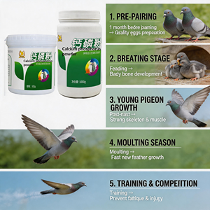 <span class=keywords><strong>Versailles</strong></span> Poudre <span class=keywords><strong>de</strong></span> Calcium Bio Hydrosoluble pour Oiseaux, Pigeons et Perroquets 500g OEM/ODM - Product Image 3