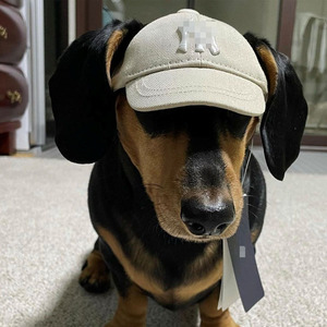 Casquette de baseball originale en forme d'ours en peluche pour chien, chapeau pour chien en coton uni, accessoire vestimentaire pour animaux de compagnie, pour l'extérieur, Noël, Halloween - Product Image 4