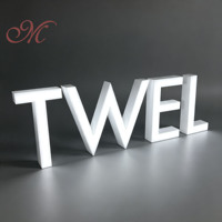 Lettres en acier inoxydable mat personnalisées - Signalétique en métal LED pour la publicité, logo mural pour entreprise, façade de magasin, bureaux |