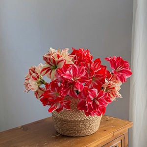 <span class=keywords><strong>Fleur</strong></span> artificielle d'amarille à toucher réel, tige rouge et <span class=keywords><strong>blanche</strong></span> rayée, fausse <span class=keywords><strong>fleur</strong></span> pour la décoration de la maison, des tables de mariage, des vases et comme accessoire de photographie - Product Image 3