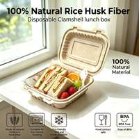 Emballages alimentaires biodégradables en fibre de coque de riz pour restaurants de restauration rapide, boîtes à clapet jetables sans BPA, compatibles micro-ondes, 800 ml