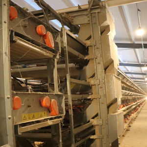 Новое автоматическое оборудование для поднятия курицы H-типа, стальная аккумуляторная клетка с автоматической машиной для сбора яиц - Product Image 5