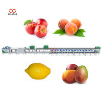 Fruit optische inspectie, citroenkleur sortering, sortering op basis van visuele detectie, oppervlaktecontrole van citroendefecten, sorteermachine