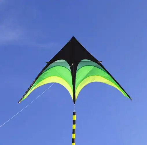 Cerf-volant albatros en Nylon Ripstop, grande queue Delta de haute qualité avec poignée, jouets d'extérieur pour enfants