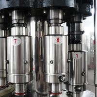 Machine de remplissage et de bouchage entièrement automatique 3-en-1 pour petites usines de production d'eau potable en PET – Prix compétitif