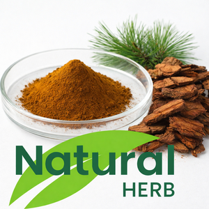 Premium kwaliteit natuurlijk 95% proanthocyanidine dennenhuid <span class=keywords><strong>extract</strong></span> poeder - Product Image 1