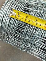 Maille de barrière de champ enduite de zinc/barrière de champ de noeud fixe pour le sanglier et la chèvre/barrière galvanisée de champ