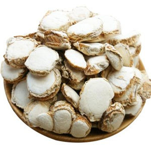 उच्च गुणवत्ता वाले शुद्ध प्राकृतिक खाद्य ग्रेड रिज़ोमा काएम्पफेरी पाउडर राहिजोमा काएम्पफेरी अर्क पाउडर पूरी तरह से पानी में घुलनशील - Product Image 2