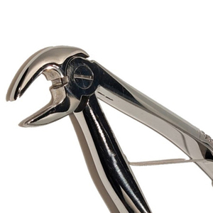 Forceps d'extraction dentaire manuels professionnels réutilisables en acier inoxydable de haute qualité, personnalisables OEM, vente chaude - Product Image 6