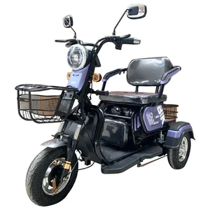 Новый стиль Электрический мини-рикша трехколесный мотоцикл - Product Image 5