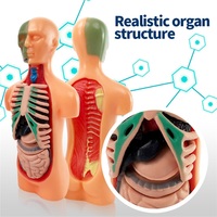 Kit Edukasi Struktur Manusia 3D Populer, Model Anatomi Organ Tubuh Manusia dari Plastik, Set Mainan Sains untuk Anak-anak