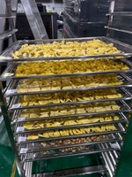 Hoge Kwaliteit 3-30P Fruit- en Groente Droogmachine Mango Droger Ananas Droger Ruimte Baobab Fruit Dehydrator Voedselverwerking CE