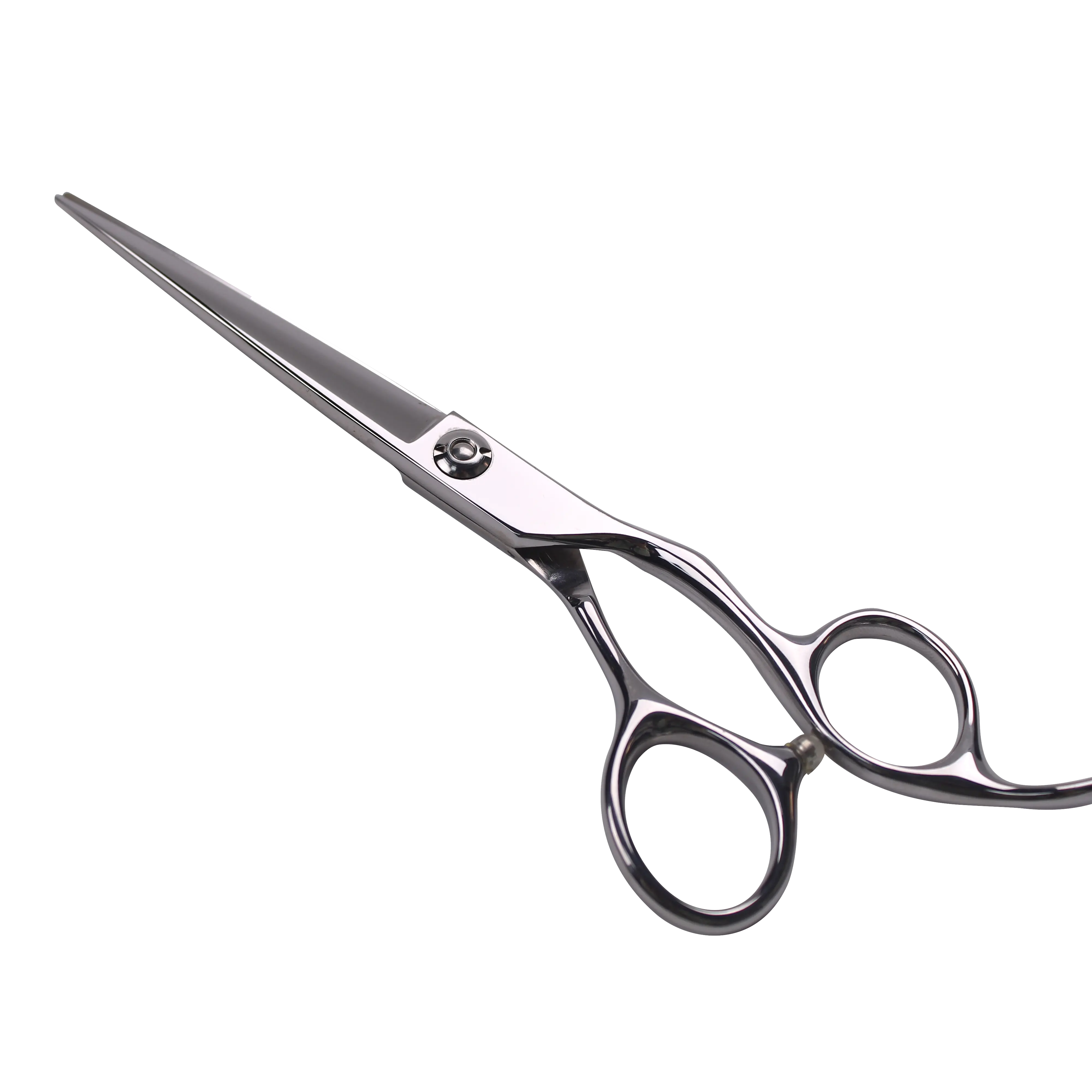 Professional Hair Scissors Cutting For Women Salon Thinning Shears Hairdressing Hair Scissors