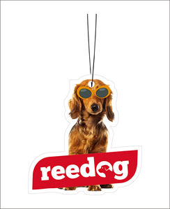 10 Piezas con Envío Gratuito, Ambientador de Papel de Algodón Colgante para Automóvil, Fragancia Orgánica de Larga Duración, Eliminador de Olores, Tarjeta de Visita - Product Image 3